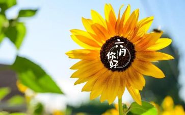 幼儿大班六月份工作总结7篇