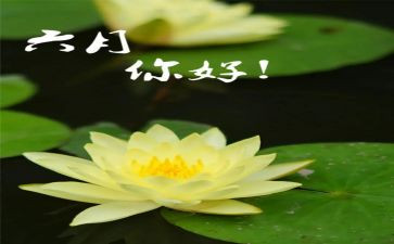 中班六月工作总结8篇