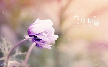 六月份教学计划6篇