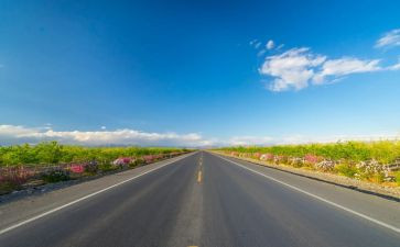 《我是一盏路灯》作文8篇