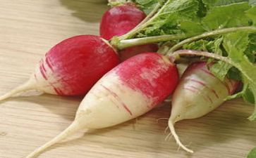 挖萝卜的作文300字8篇