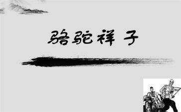 跳骆驼教学反思8篇
