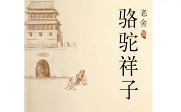 骆驼赋教学反思5篇