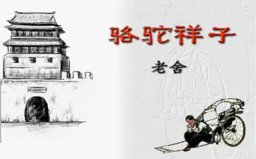 骆驼读后感通用6篇