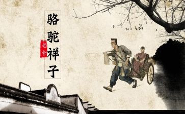 骆驼祥读书心得6篇