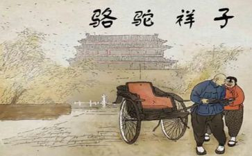 语文找骆驼教学反思5篇