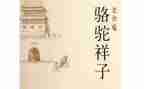 骆驼赋教学反思5篇