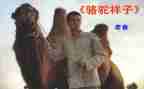 骆驼祥读书心得模板8篇