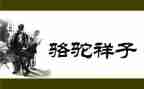 骆驼读后感优质7篇