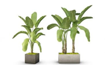 倡导绿色作文通用7篇