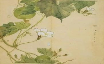 氓课后教学反思精选8篇
