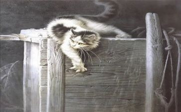 16《猫》教学反思模板7篇