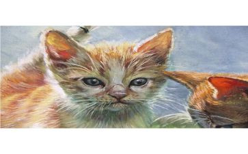 《猫》教学反思范文参考5篇
