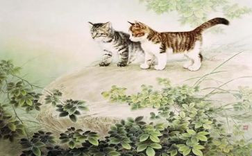 16《猫》教学反思7篇