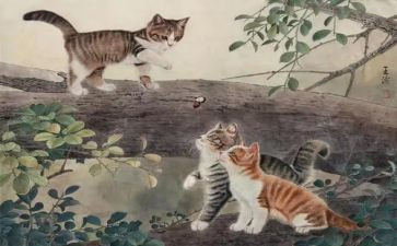 熊猫优秀作文300字6篇