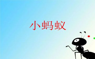 我发现的蚂蚁作文8篇