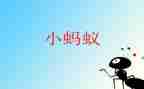 我发现的蚂蚁作文8篇