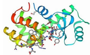 酶实验心得体会优秀5篇