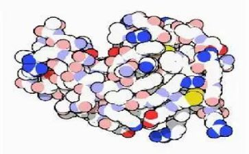酶实验心得体会优质8篇