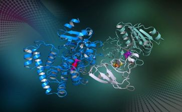 酶实验心得体会6篇