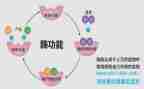 酶的作用教学反思5篇