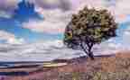 让自己美好作文8篇
