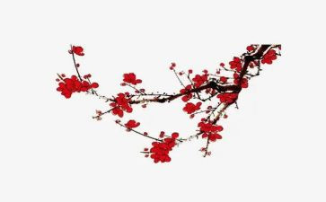 梅花说课教案推荐7篇