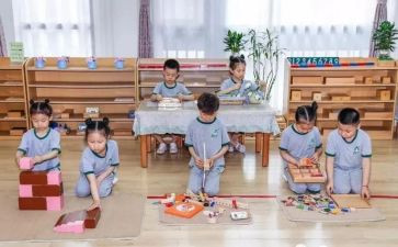 幼儿园蒙氏数学课教学计划6篇