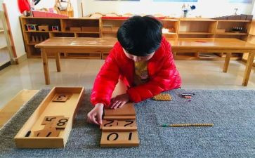 蒙氏第二学期教学计划推荐6篇
