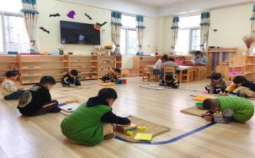 幼儿园蒙数教学计划精选8篇