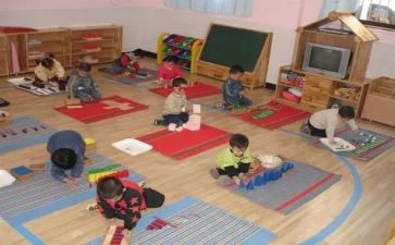 幼儿园蒙数教学计划模板6篇