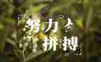 历史名人物作文5篇