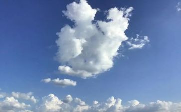 为了地球的明天作文6篇