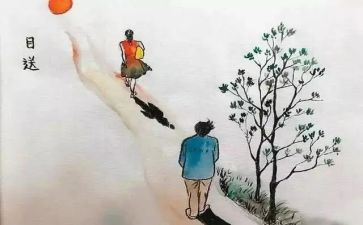 《目送》读书心得最新8篇