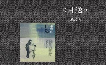 目送读后心得6篇