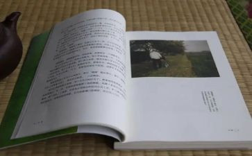 目送目送读后感通用8篇