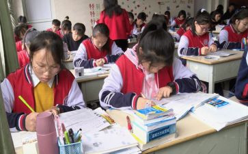 小学四年级下册语文工作总结7篇