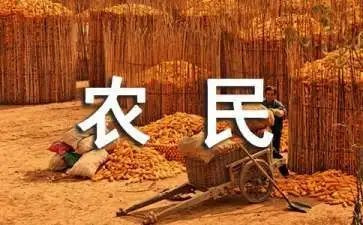 农民节活动总结范文8篇