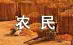 农民节活动总结范文8篇