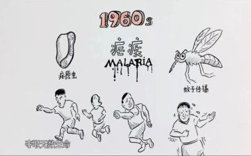 疟疾日宣传总结精选5篇