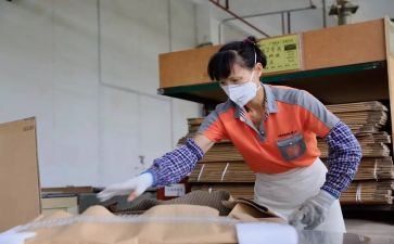 工会女工的工作计划5篇