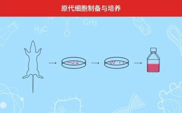 对孩子培养心得体会5篇
