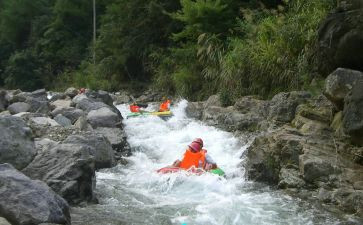 宾逊漂流记读后感8篇