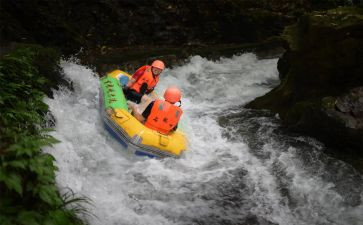 鲁宾群漂流记读后感推荐8篇