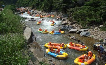 鲁宾群漂流记读后感参考6篇