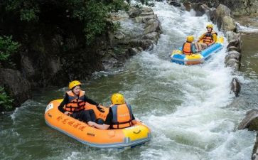 宾逊漂流记读后感最新6篇