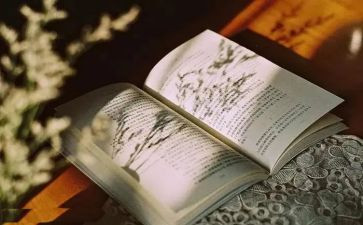 精品读书心得8篇