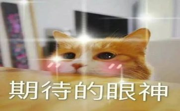 我期待的2023作文700字6篇