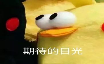 期待2023300字作文模板7篇
