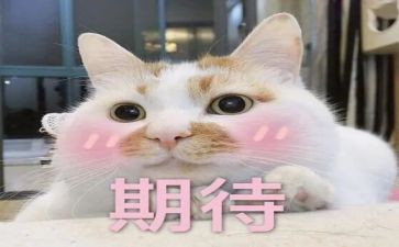我期待的61作文6篇